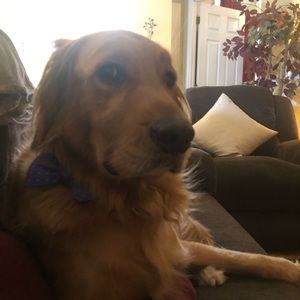 Meet your Posher, Miranda